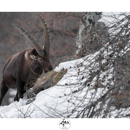 Appartamento Lo Bou Валсаваренке Екстериор снимка
